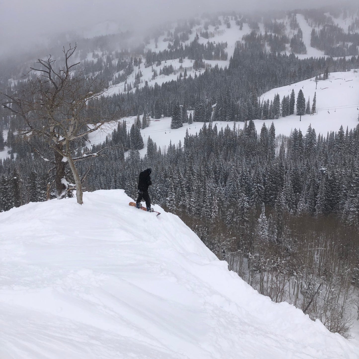 Tour Guiado en Utah